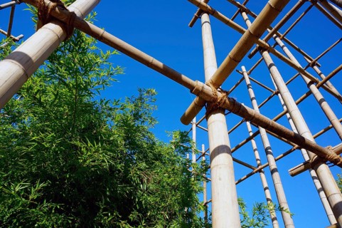 Bamboo scaffolding