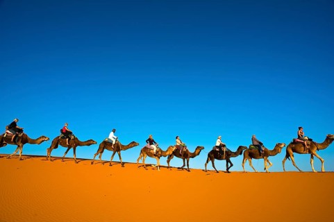 Tourists riding camels on the sand dunes of Erg Chebbi
