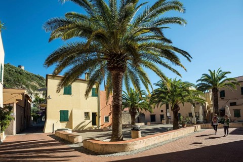 Square with palm trees