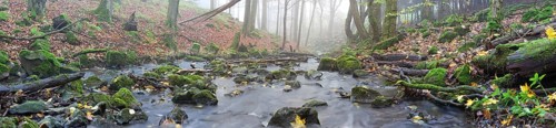Stream with moss-covered basalt stones and fallen tree trunks