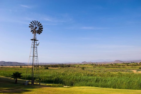 Windmill