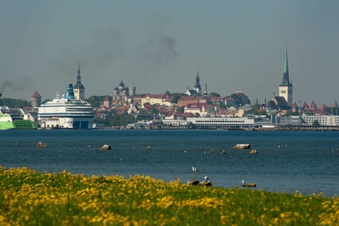 City panorama