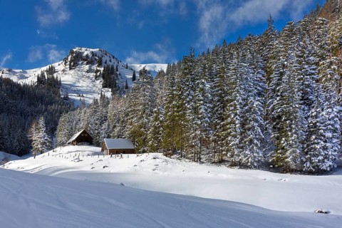 Breitenberger Alm alp near the Blaseneck peak