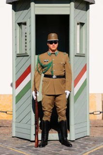 Guard in front of the Presidential Palace Sandor Palace on Castle Hill