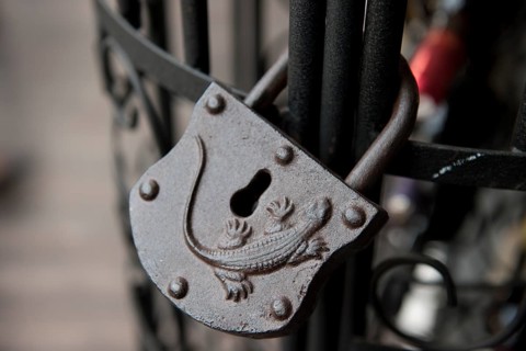 Old lock with reptile relief