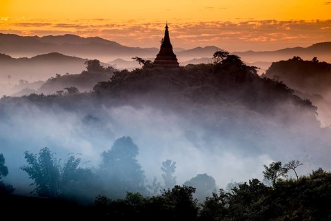 Pagoda surrounded by trees