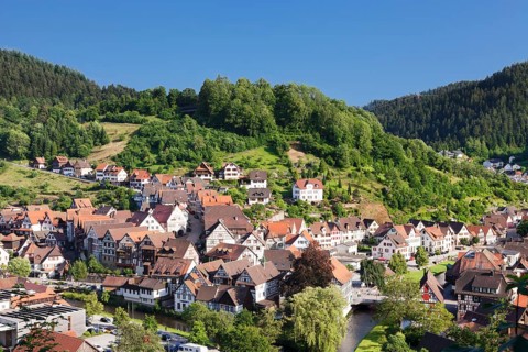 Townscape of Schiltach