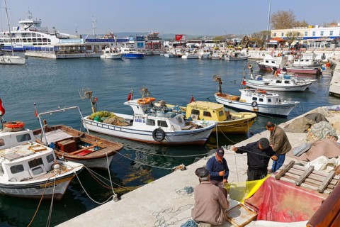 Fishing port