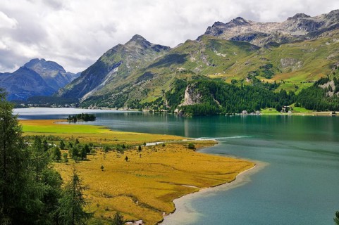 Estuary of the river Aua da Fedoz into the Lake Sils