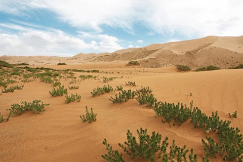 Esfand