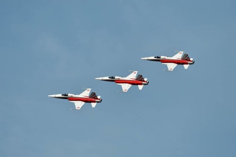 Formation flight of the Patrouille Suisse with the Northrop F-5E Tiger II