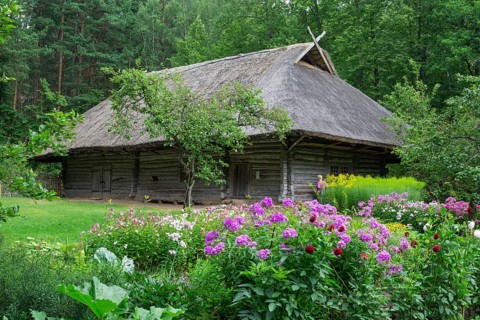 Farmhouse with a garden