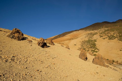 Huevos del Teide