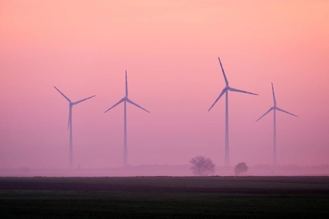 Wind farm in the fog