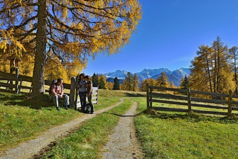 Hikers on the Larchenwiesen meadows