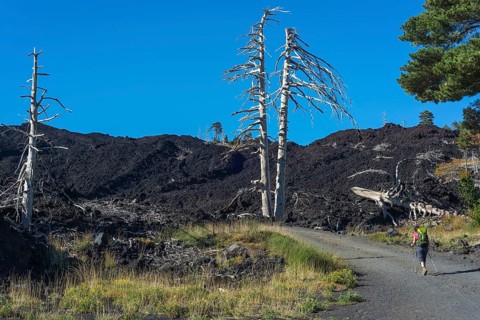 Hiker on the gravel road through the lava field from 2002