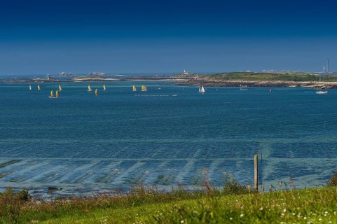 Sailing boats in the bay near Landeda