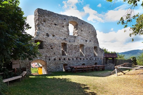 Ruins of Burg Stapelburg Castle