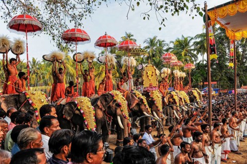 Hindu temple festival with many elephants