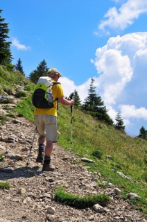 Hiker with a backpack and hiking poles