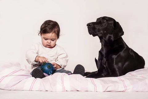 Big black mongrel lying next to a small child