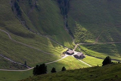 Alp in the last evening light