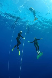 Freedivers