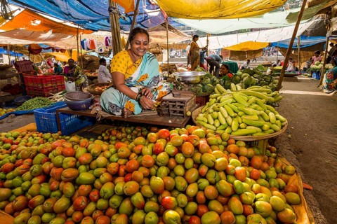 A woman is selling tomatoes and cucumbers at the weekly vegetable market