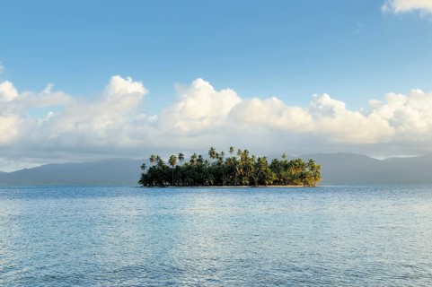 Tropical island with palm trees