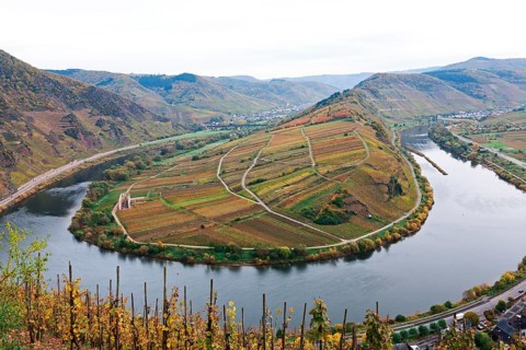 Moselle River loop in autumn