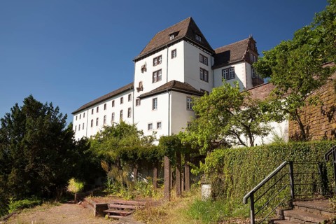 Schloss Furstenberg castle