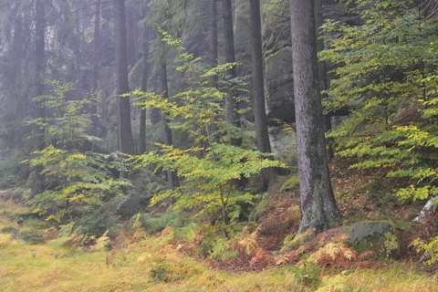 Autumn landscape in Kirnischtal valley