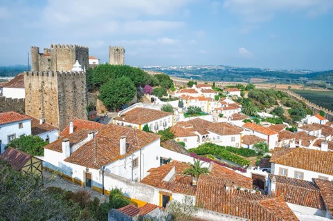 View over the historic district and the castle