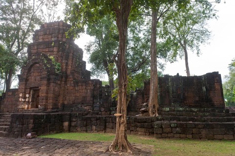 Overgrown temple tower