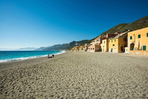 Typical houses on the beach