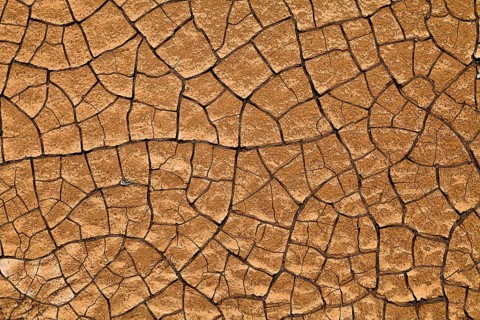 Mud structure