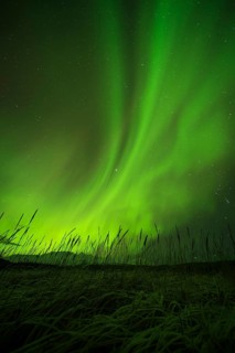 Aurora borealis over College Fjord