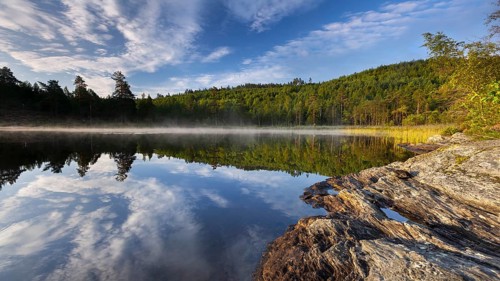 Morning fog over a lake