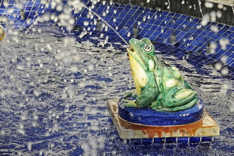Frog spouting water