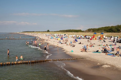 Sandy beach and coast