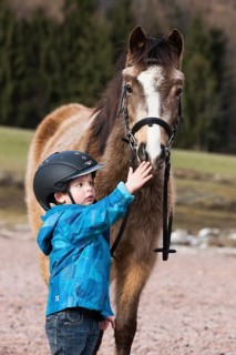 Young child wearing a riding helmet standing beside a pony