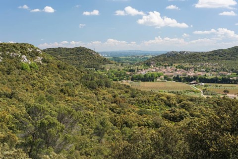 Typical Garrigue or scrubland landscape in southern France