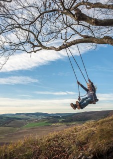 Boy on an improvised swing