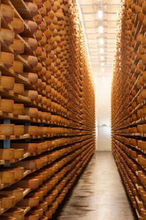 Bregenzerwalder Kasekeller cheese cellar for Alpine cheese