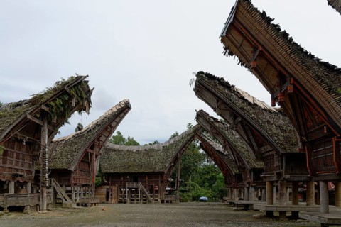 Traditional Tongkonan storage houses