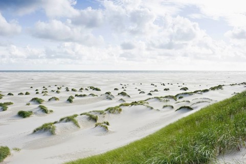 Dunes and beach