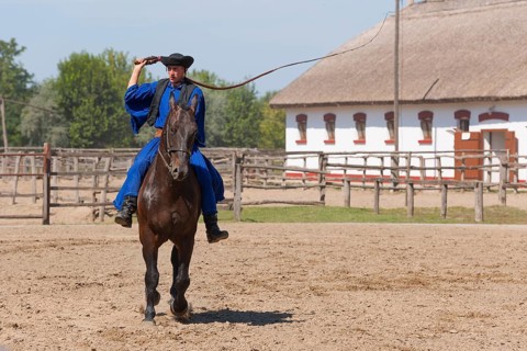 Csikos on horseback