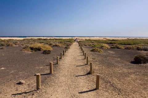 Beach of Jandia Playa