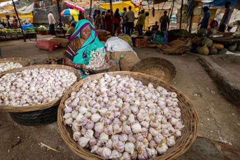 A woman is selling garlic in baskets at the weekly vegetable market