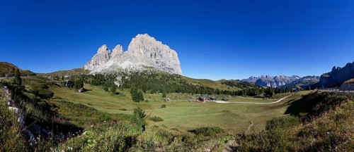 Alpine meadow